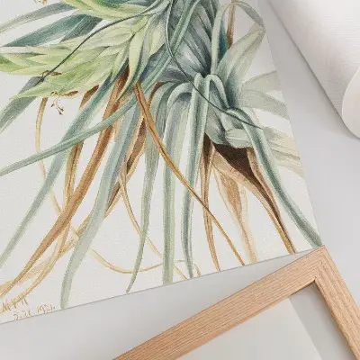 Póster de la obra Piña silvestre (Tillandsia fasciculata) de 1921 por Mary Vaux Walcott