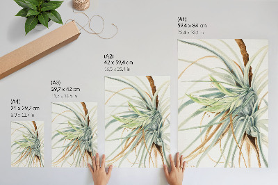 Póster Piña silvestre (Tillandsia fasciculata) (1921) de Mary Vaux Walcott