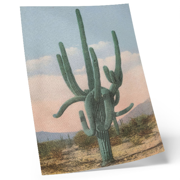 Póster Cactus grande (ca. 1928) de un artista anónimo