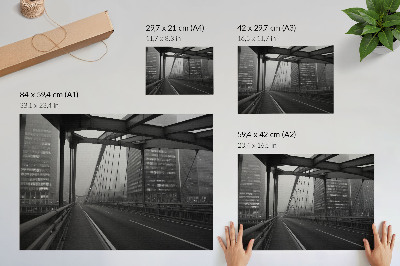 Lámina para cuadro Puente de la ciudad, edificios majestuosos, elegancia austera.