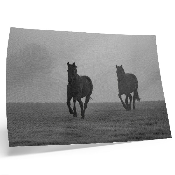 Arte de pared caballos corriendo con niebla suave en un espacio tranquilo