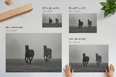 Arte de pared caballos corriendo con niebla suave en un espacio tranquilo