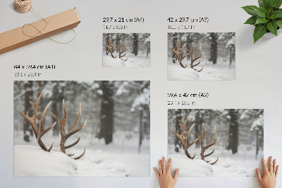 Lámina para cuadro Astas en la nieve, bosque invernal, paz natural