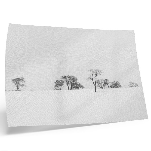 Póster Paisaje minimalista, árboles invernales, paz.