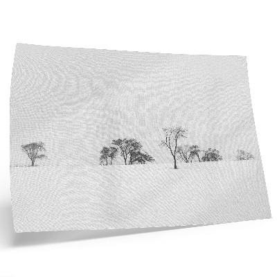 Póster Paisaje minimalista, árboles invernales, paz.