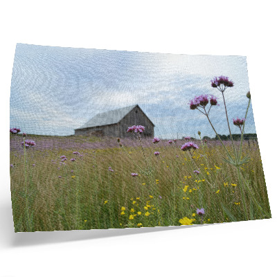 Póster Pradera de flores moradas y amarillas en un granero de campo