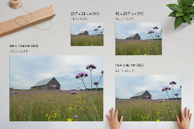 Póster Pradera de flores moradas y amarillas en un granero de campo