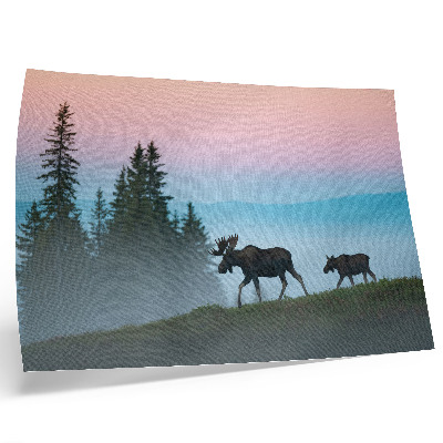 Póster Alces por la mañana con el telón de fondo de la niebla y los árboles.