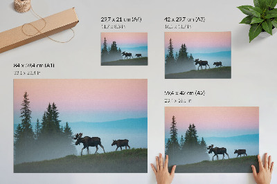 Póster Alces por la mañana con el telón de fondo de la niebla y los árboles.