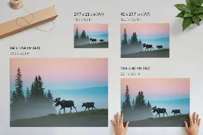 Póster alces por la mañana entre la niebla y los árboles
