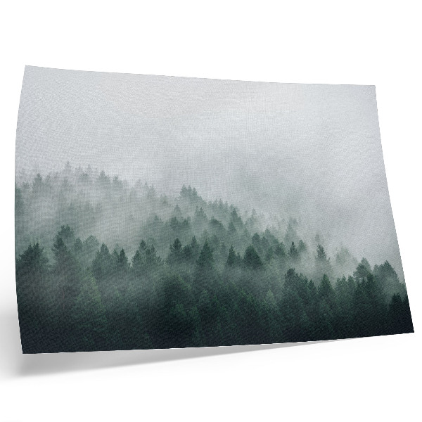 Póster Bosques brumosos que exudan paz y misterio.