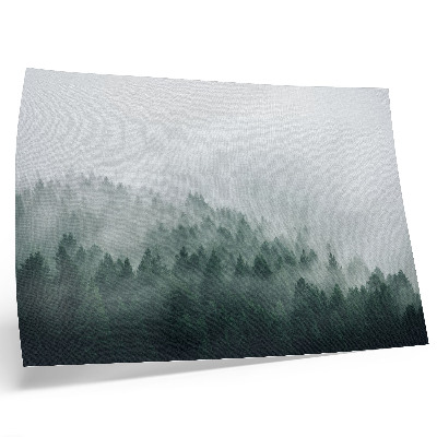 Póster Bosques brumosos que exudan paz y misterio.