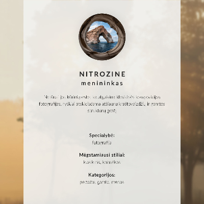 Póster Bosques brumosos que exudan paz y misterio.