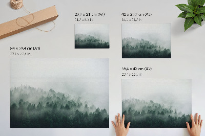 Póster Bosques brumosos que exudan paz y misterio.