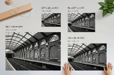 Póster la elegancia de la arquitectura urbana, la luz y la sombra