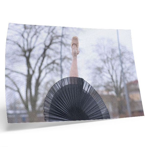 Arte de pared cuadro de ballet sobre armonía y sutileza
