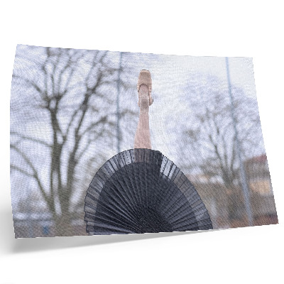 Arte de pared cuadro de ballet sobre armonía y sutileza