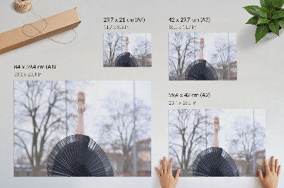 Arte de pared cuadro de ballet sobre armonía y sutileza