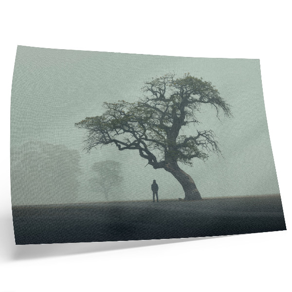 Lámina para cuadro Árbol solitario, niebla, silueta oscura, atmósfera
