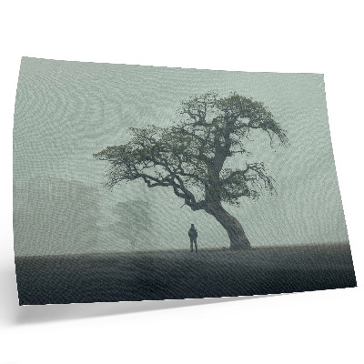 Lámina para cuadro Árbol solitario, niebla, silueta oscura, atmósfera