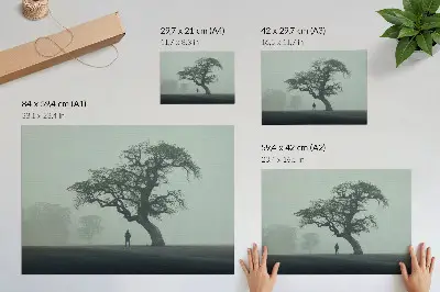 Lámina para cuadro árbol solitario con silueta oscura en atmósfera de niebla