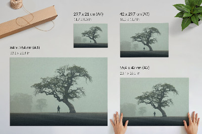 Lámina para cuadro Árbol solitario, niebla, silueta oscura, atmósfera