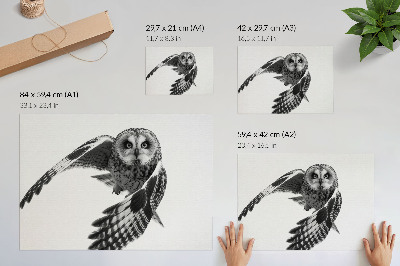 Póster retrato de un búho en vuelo que destaca por su elegancia singular y ambiente apacible