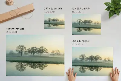 Lámina para cuadro superficie del agua en calma con reflejo de árboles y niebla suave