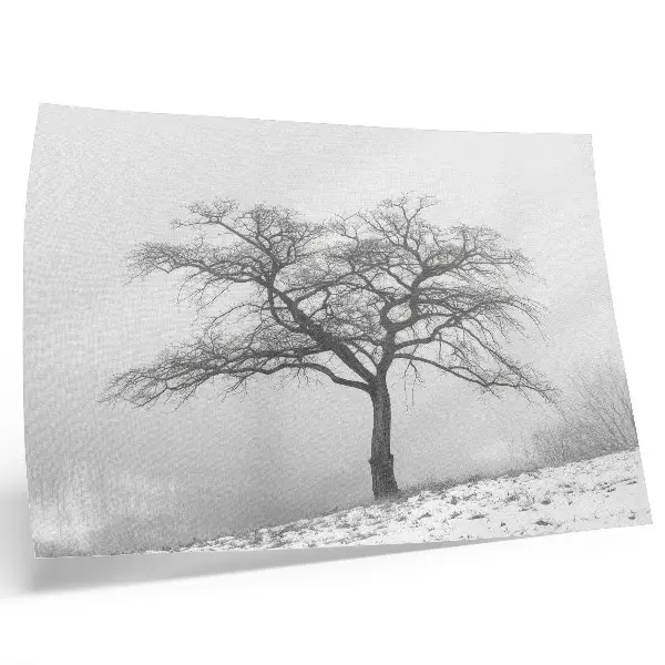Arte de pared árbol solitario en un paisaje de paz invernal con estilo minimalista y armonioso