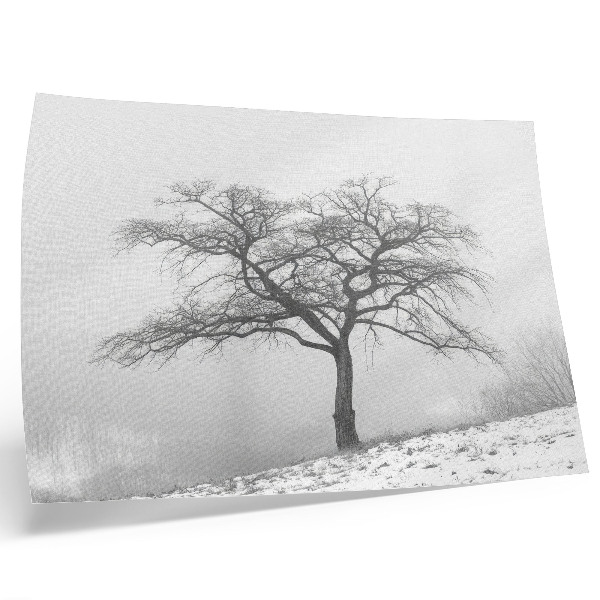 Arte de pared Árbol solitario, paz invernal, minimalismo, armonía