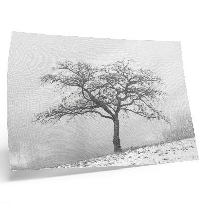 Arte de pared Árbol solitario, paz invernal, minimalismo, armonía
