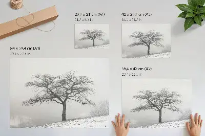 Arte de pared árbol solitario en un paisaje de paz invernal con estilo minimalista y armonioso