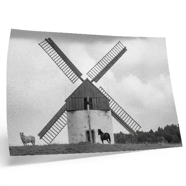 Arte de pared molino de viento blanco y negro en un campo con caballos
