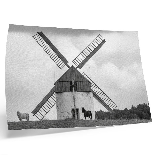 Arte de pared Un molino de viento blanco y negro en un campo con caballos.