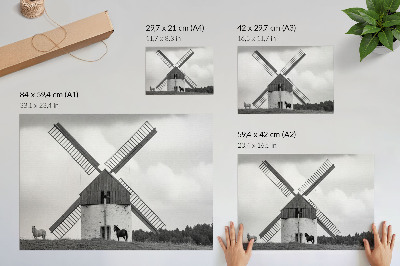 Arte de pared Un molino de viento blanco y negro en un campo con caballos.