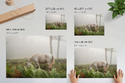 Póster Un caballo con un fondo de helechos en un bosque brumoso.