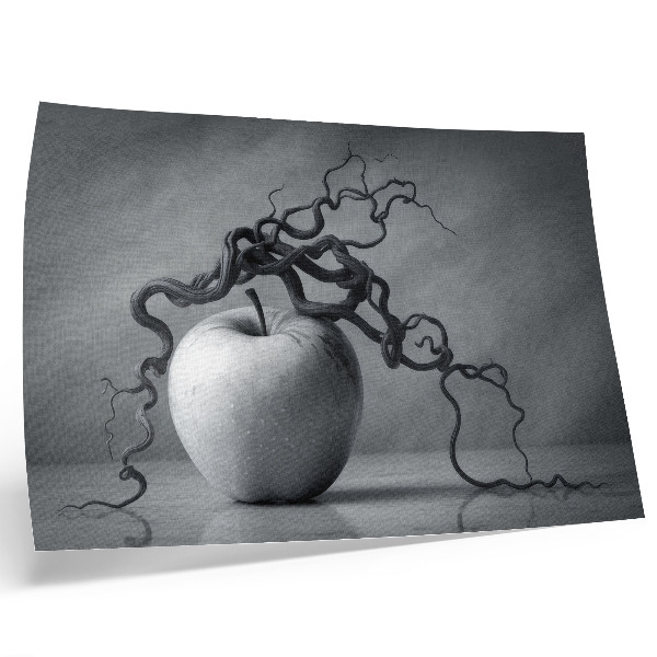 Lámina para cuadro contraste armonioso entre la manzana y la rama en monocromo