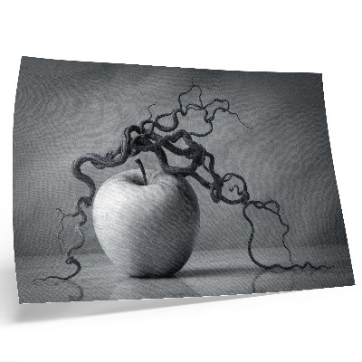 Lámina para cuadro contraste armonioso entre la manzana y la rama en monocromo