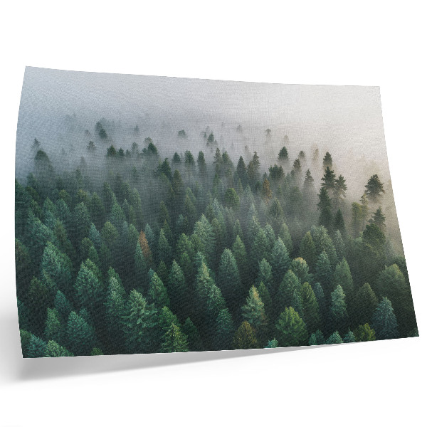 Póster Bosque verde envuelto en la niebla, atmosférico y misterioso.