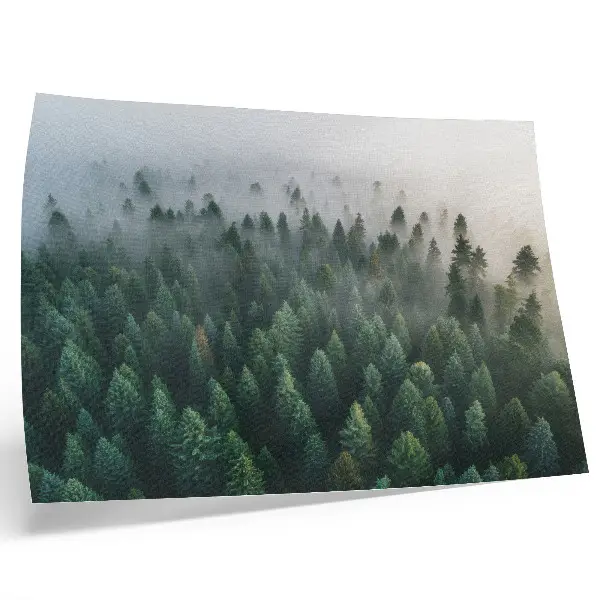 Póster bosque verde envuelto en la niebla con atmósfera misteriosa