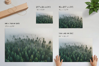 Póster Bosque verde envuelto en la niebla, atmosférico y misterioso.