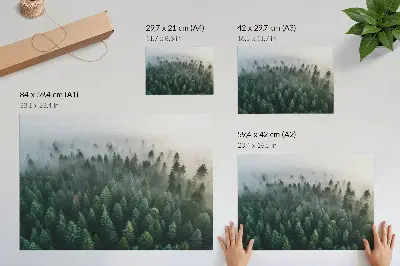 Póster bosque verde envuelto en la niebla con atmósfera misteriosa