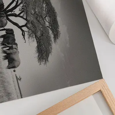 Lámina para cuadro de elefantes bajo un árbol en la sabana africana