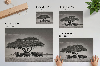 Lámina para cuadro Elefantes bajo un árbol en la sabana africana