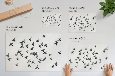 Póster Aves en vuelo. Elegantes armonías en blanco y negro.