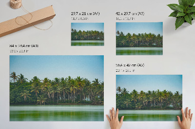 Póster Palmeras tropicales, aguas tranquilas, cielo armonioso