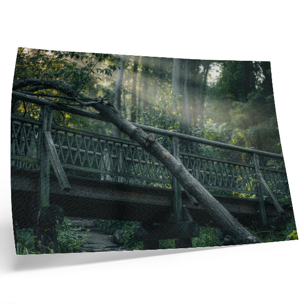 Póster Un puente de madera entre vegetación y luz solar.