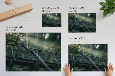 Póster Un puente de madera entre vegetación y luz solar.