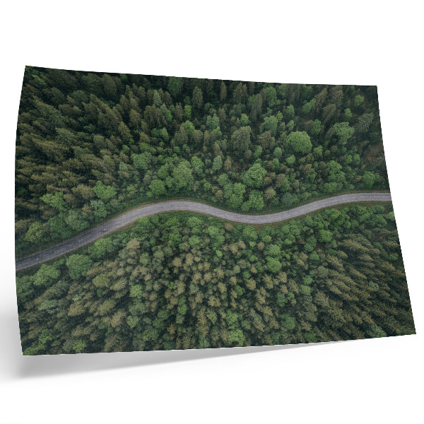 Póster Carretera serpenteante en medio de un bosque verde, ambiente tranquilo