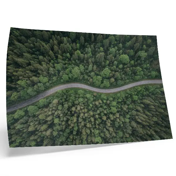 Póster carretera serpenteante en un bosque verde con ambiente tranquilo